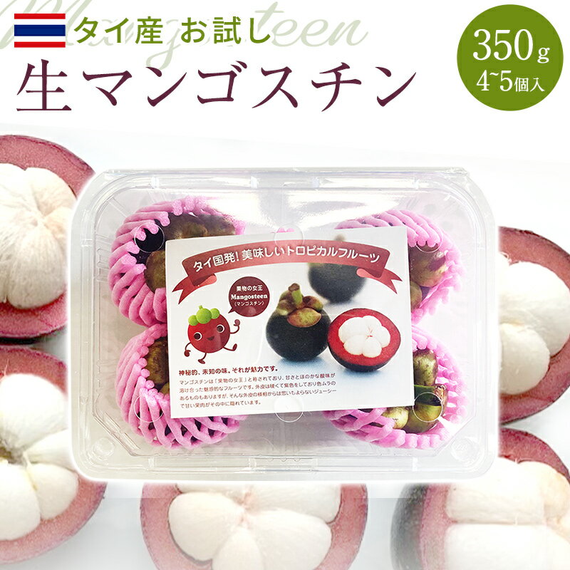 お試し 生マンゴスチン 4～5個入り 約350g タイ産 送料無料 甘い トロピカルフルーツ 果物 グルメ