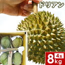 ドリアン 8kg 4玉 　果物の王様 dorian pine 甘い 果物 フルーツ【　ベトナム産】送 ...