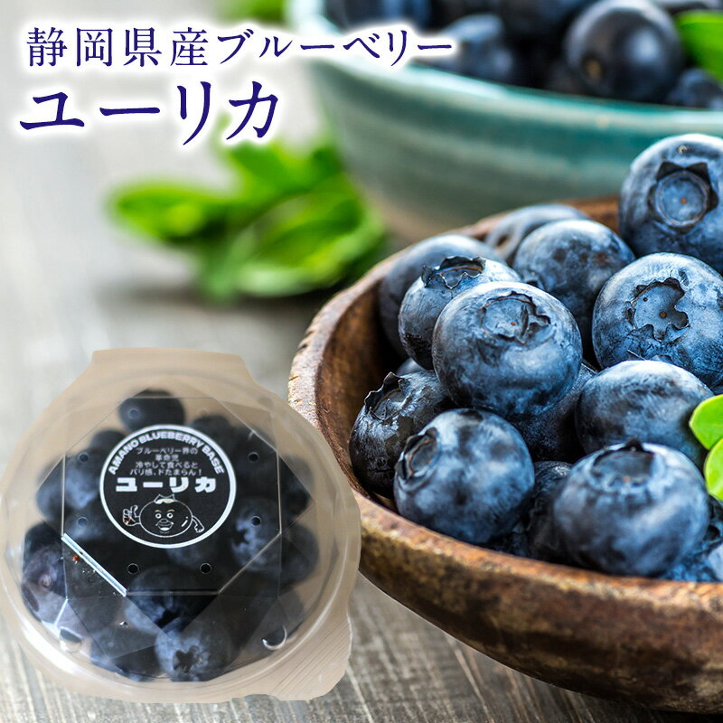 静岡県産ブルーベリー ユーリカ 1パック約120g 1パック～10パック 大粒 新食感 フルーツ 果物