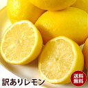 【アメリカ産】訳あり レモン 2kg 3kg 4kg 大特価 送料無料 訳あり ギフト 果物 フルーツ