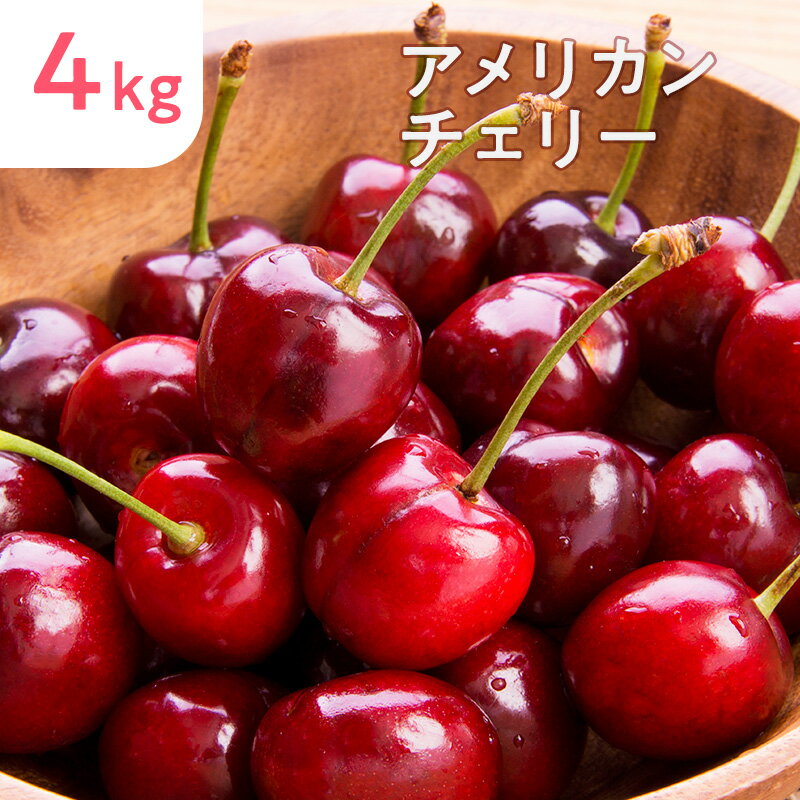 楽天市場】さくらんぼ（総重量（果物）4.00 ～ 4.99kg）（フルーツ