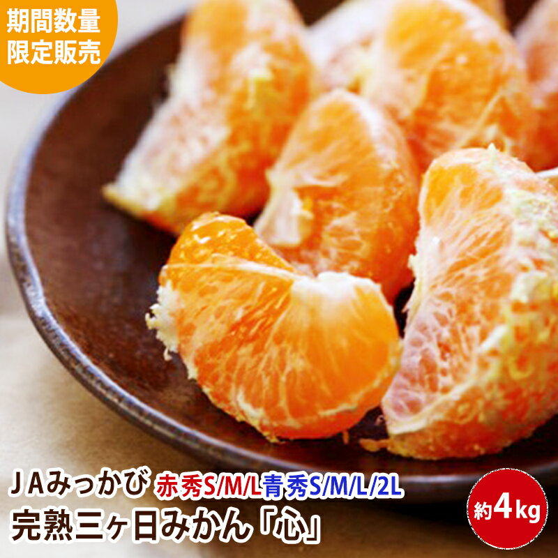 【数量限定入荷】JAみっかび「心」 熟成三ヶ日みかん 赤秀S 約4キロ 約44個【送料無料】【4kg】12初旬～12月中旬までの限定販売　みかん ミカン 蜜柑 お歳暮 ギフト 送料無料 甘い 直売 糖度 お取り寄せ mikann 静岡 産地のサムネイル