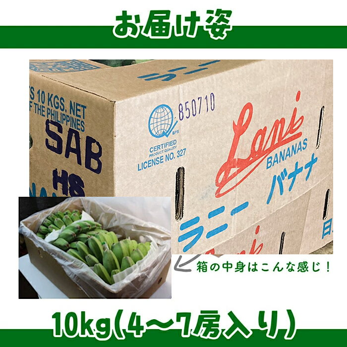 【フィリピン産】カルダバ・バナナ 10kg 4〜7房入り 箱売り 送料無料 調理 加工 バナナ　調理用バナナ　料理用バナナ