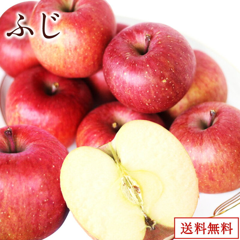フジ【青森県産】 ふじ 2.5kg 5kg 10kgりんご ギフト プレゼント 母の日 父の日 林檎 大玉 特A 美味しい 店長厳選 店長シリーズ 箱売り 贈答 贈り物 おうち用 ご褒美 シャキ クリ...