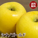 りんご 【長野県　青森県産】 シナノゴールド 8玉から10玉入り 2.5キロ　リンゴ りんご 林檎 おいしい 旬