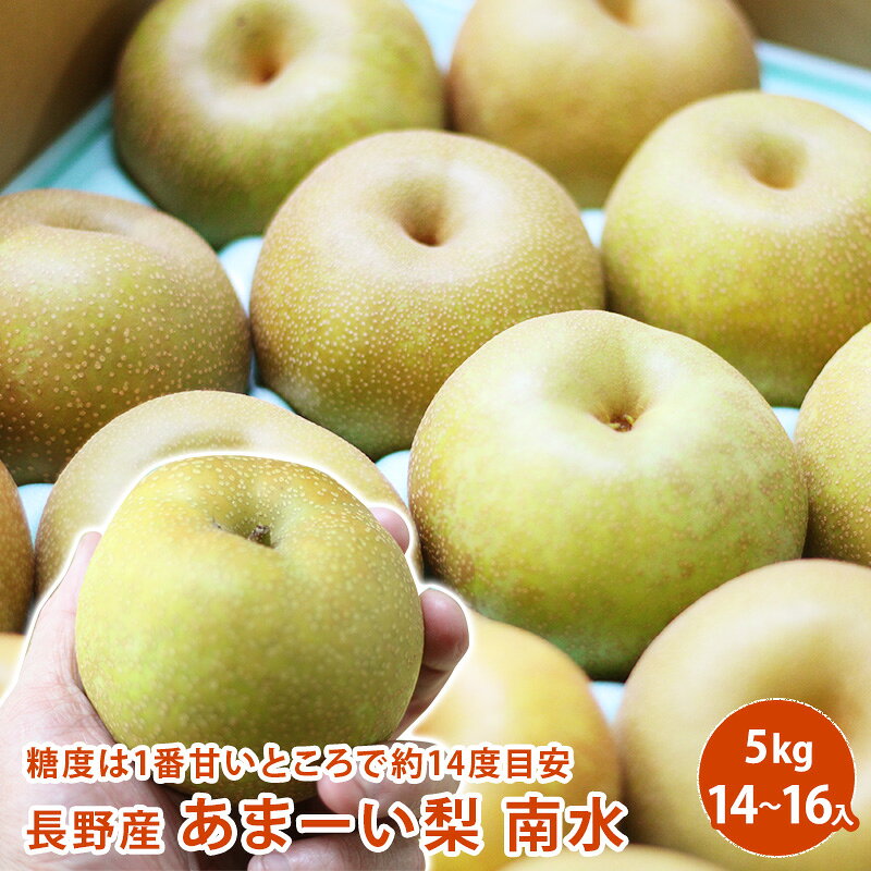 楽天市場】梨 幸水（総個数12 ～ 23個入り）の通販