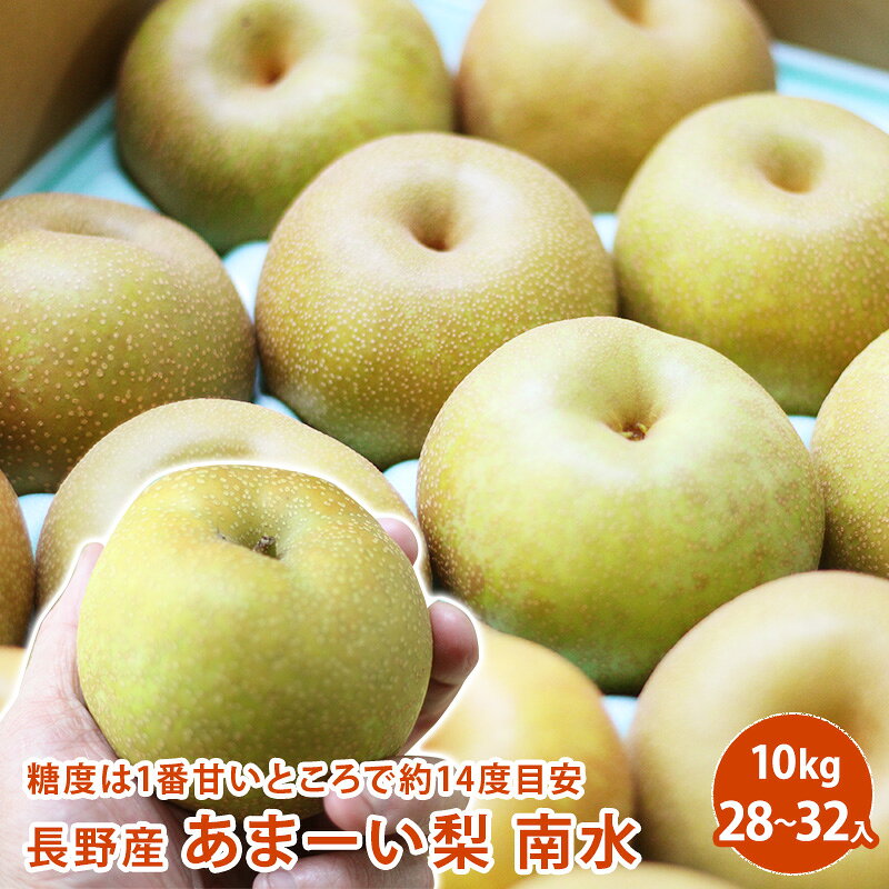 楽天市場】和梨（総個数24 ～ 35個入り）（フルーツ・果物｜食品）の通販