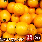 【オーストラリア産】訳ありオレンジ　大特価送料無料　訳あり ギフト 果物 フルーツ