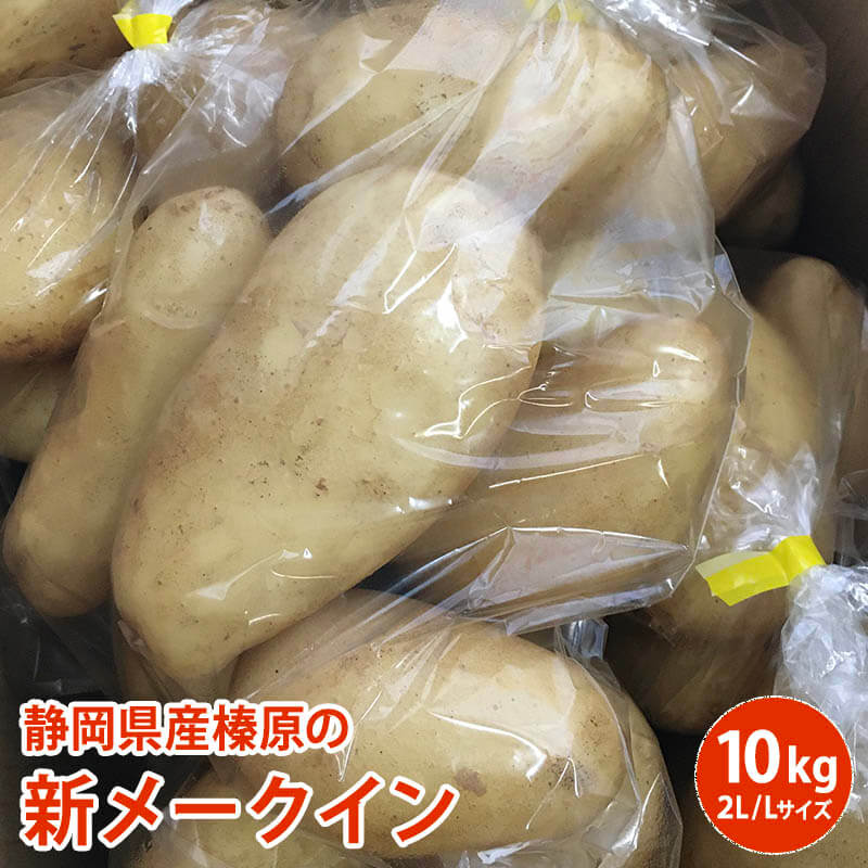 送料無料 静岡県産榛原の新メークイン 10キロ2L・Lサイズ1キロ袋が約10入りをお届け 静岡県産 じゃがいも メークイン…