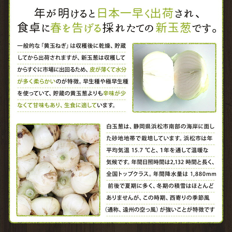 ���䳫�ϡ��Ų����;��Ի��ۿ���Ǭ�ʲ�����5�������Ų������ޤͤ������ޤͤ�����Ǭ���̥ͥ����̤ͤ������ޥͥ� �դ���ʪ�� ��̣ ���� ���� ��ʪ ����� ���졼 ������ �繥ɾ �͵����� �֤�ʪ �ϥ�С��� ���ꤪ���� �ߤ����ڤ� £���� ������ £��ʪ ���줷�� ��̣����