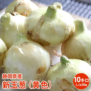 販売開始【静岡県浜松市産】新玉葱(黄色)10キロ L 約50個 新たまねぎ たまねぎ 玉葱 玉ネギ 玉ねぎ タマネギ