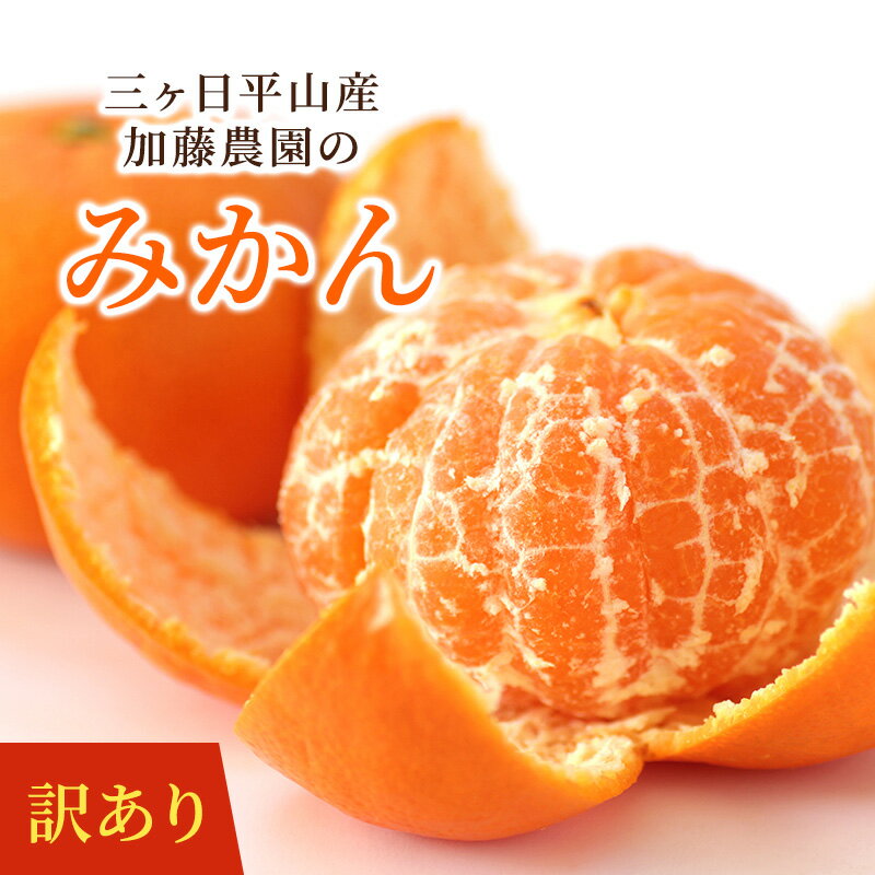 【11月下旬より入荷次第順次発送】【訳あり】三ヶ日平山産加藤柑橘園の早生みかん 5kg 10kg みかん 静岡県産 みかん ミカン 蜜柑 フルーツ 自宅用 送料...