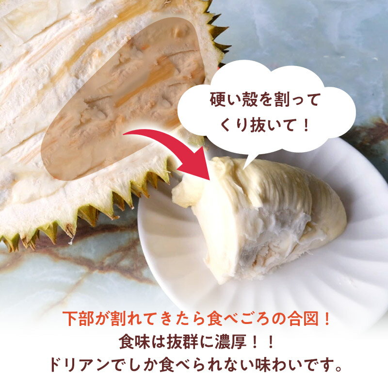 �ɥꥢ�� �ڥ٥ȥʥ໺��2kg 8kg ��ʪ�β��� ����̵�� dorian pine �Ť� ��ʪ �ե롼�� �� �����ˤʤ� ���� ��� �ե�å��� ���� ����̵�� L������ ���Τޤ� �ץ쥼��� ������ £���� �Ϥ��ޤǤ��Ф餯�������礢��ޤ����ȥ��ԥ���ե롼��