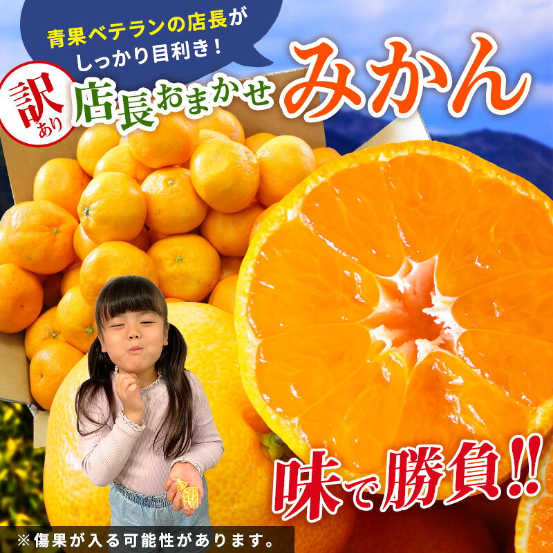 【静岡県浜松市産】店長おまかせ浜松みかん 2kg 3kg 4kg 8kg 訳あり（品種、大きさ、不揃い、味自慢、味で勝負） ミカン 蜜柑 フルーツ 大容量 業務用 みかん ミカン 送料無料 お歳暮 ギフト プレゼント みかん 蜜柑 mikann hamachu-10000044 はまべじ サンプル画像2