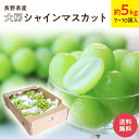 【長野県産】シャインマスカット 5キロ (7~10房入り) ぶどう シャインマスカット フルーツ ギフト プレゼント 送料無料 贈答用