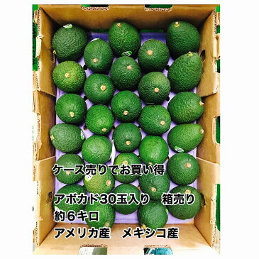 お買い得　アボカド30玉　約6キロ　ケース売り　メキシコ産　アメリカ産