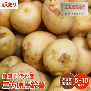 【静岡県 浜松産】【訳あり】 男爵 三方原馬鈴薯 5kg 10kg じゃがいも 野菜 ジャガイモ 送料無料