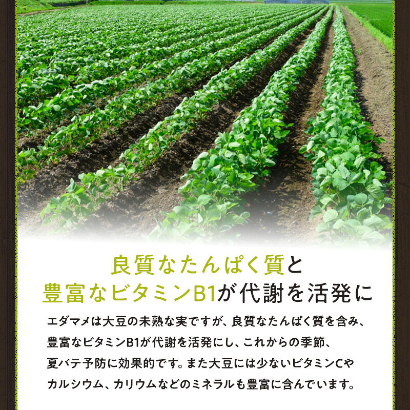 【静岡県産】JA大井川茶豆風枝豆 250g 10入り 20入り 枝豆 えだまめ おつまみ ご家...