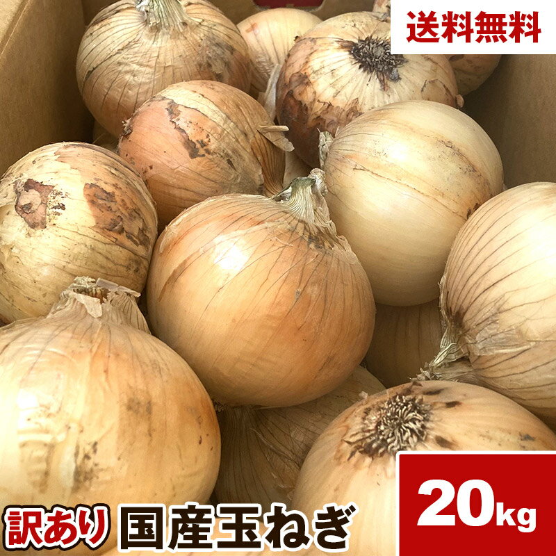 訳あり　愛知県産 たまねぎ 20kg 玉ねぎ タマネギ 送料無料