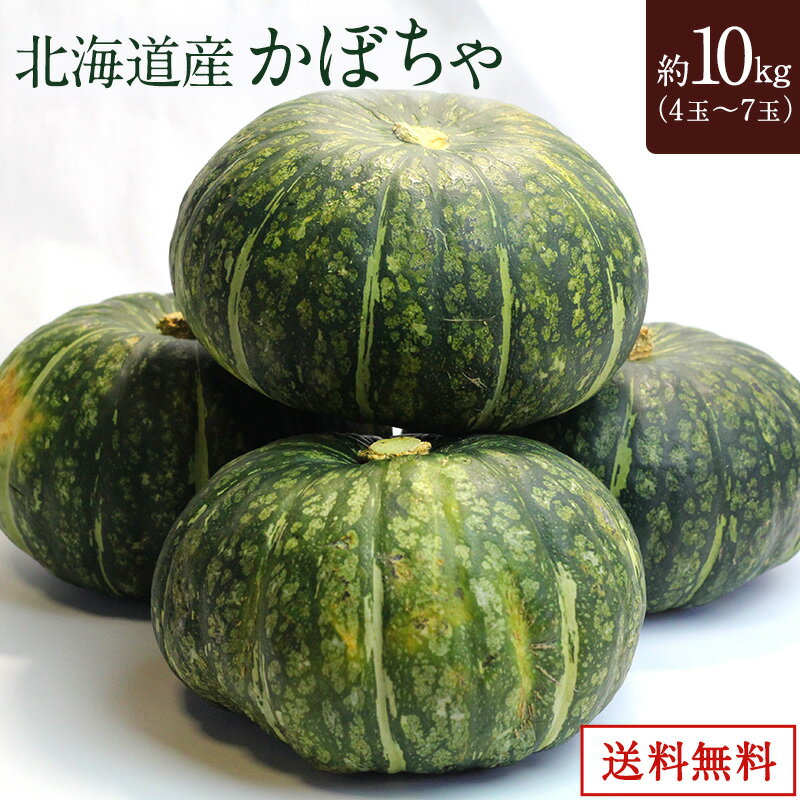 【北海道産】 かぼちゃ 10kg 4玉～7玉 野菜 常温　 国産 送料無料