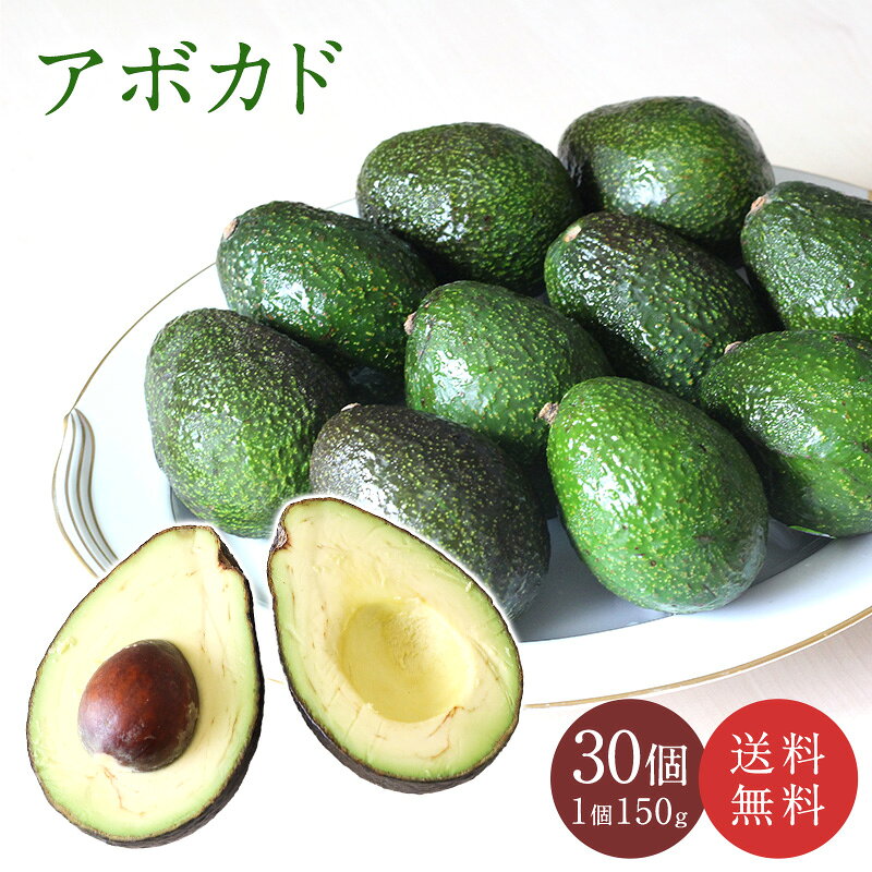 楽天市場】アボカド（総重量（果物）4.00 ～ 4.99kg）（フルーツ・果物