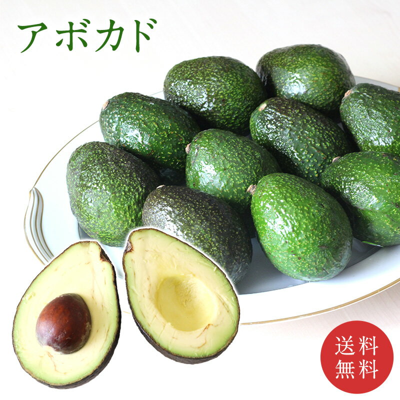 【ペルー産】 アボカド 1個150g 6個 12個 30個 