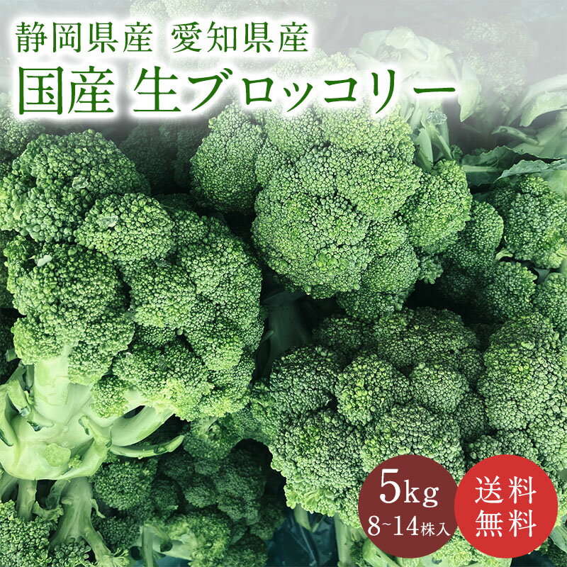 国産 生ブロッコリー 約5kg （8株～14株入り） 送料無料 静岡県 愛知県産 ブロッコリー 野菜 緑黄色野..
