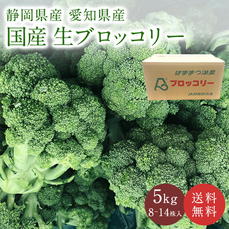 国産 生ブロッコリー 約5kg （8株～14株入り） 送料無料 静岡県 愛知県産 ブロッコリー 野菜 ...