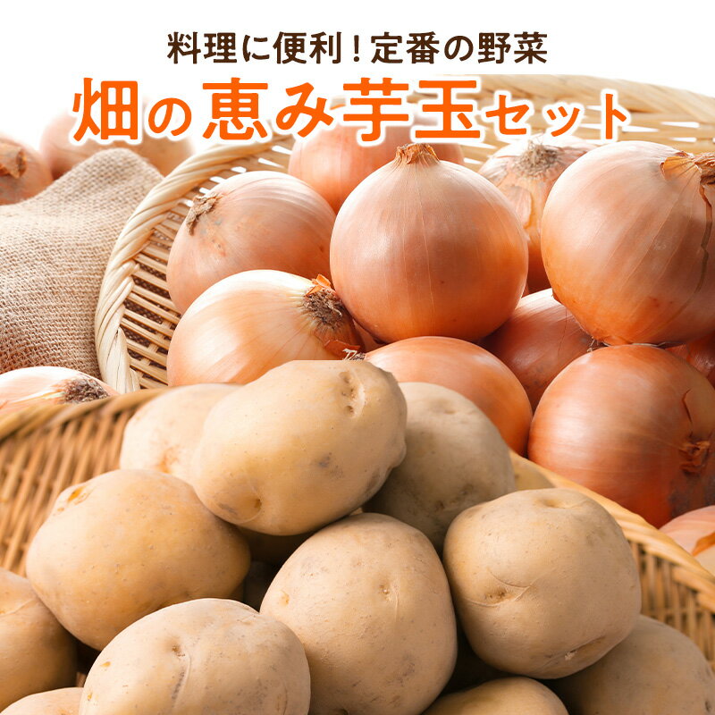 Set, Assortment - 畑の恵み 芋玉セット 2kg 4kg 10kg じゃがいも 玉ねぎ セット