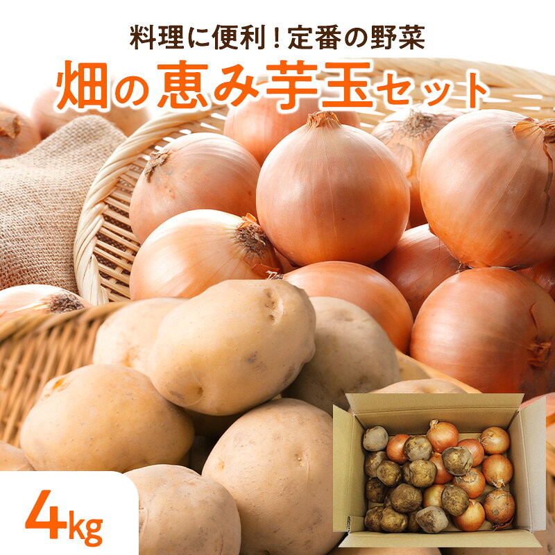 楽天市場】じゃがいも（総重量（野菜）4.0 ～ 4.9kg）の通販