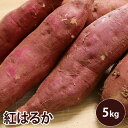 【千葉県　茨城県産】紅はるか 5キロ　Mサイズ　約20本 サツマイモ さつまいも 薩摩芋