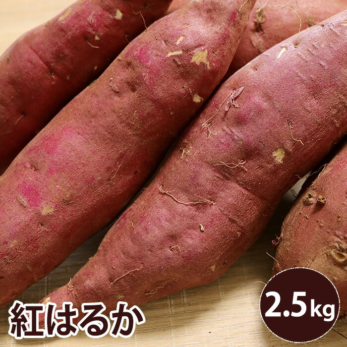 【配送期間10月より5月】【千葉県 茨城県産】紅はるか 2.5キロ Mサイズ 約10本 サツマイモ さつまいも 薩摩芋