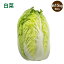 白菜 6玉入り 15kg 1玉2.5kg 送料無料 はくさい ハクサイ hakusai 3,980円