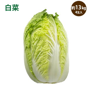 【茨城産】白菜 4玉入り 13kg 1玉3kg 送料無料 はくさい hakusai ハクサイ