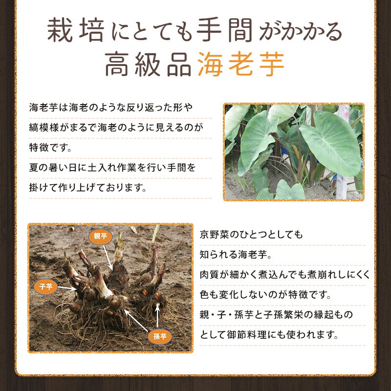 2026ǯ1��8��������ټ���缡ȯ�����Ų�����������̵�� JA����� �Ų���������Ϸ������2L 5�������Ӥ�������̵��350g�ʾ�500g̤��12�Ĥ���15������