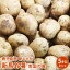 【鹿児島産】新じゃが 新馬鈴薯 南国の風 5kg Lサイズ 約40個入 野菜 じゃがいも ジャガイモ 送料無料