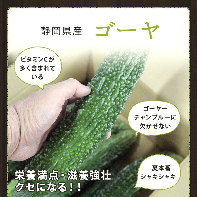 はまべじの【静岡県浜松市産】 ゴーヤ 3kg 野菜 ゴーヤー 栄養満点 滋養強壮 ゴーヤーチャンプルー 夏野菜 国産 ビタミンC 送料無料｜アングル2