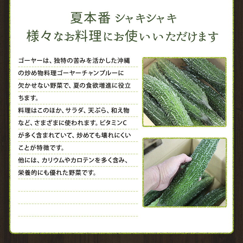 はまべじの【静岡県浜松市産】 ゴーヤ 3kg 野菜 ゴーヤー 栄養満点 滋養強壮 ゴーヤーチャンプルー 夏野菜 国産 ビタミンC 送料無料｜アングル3