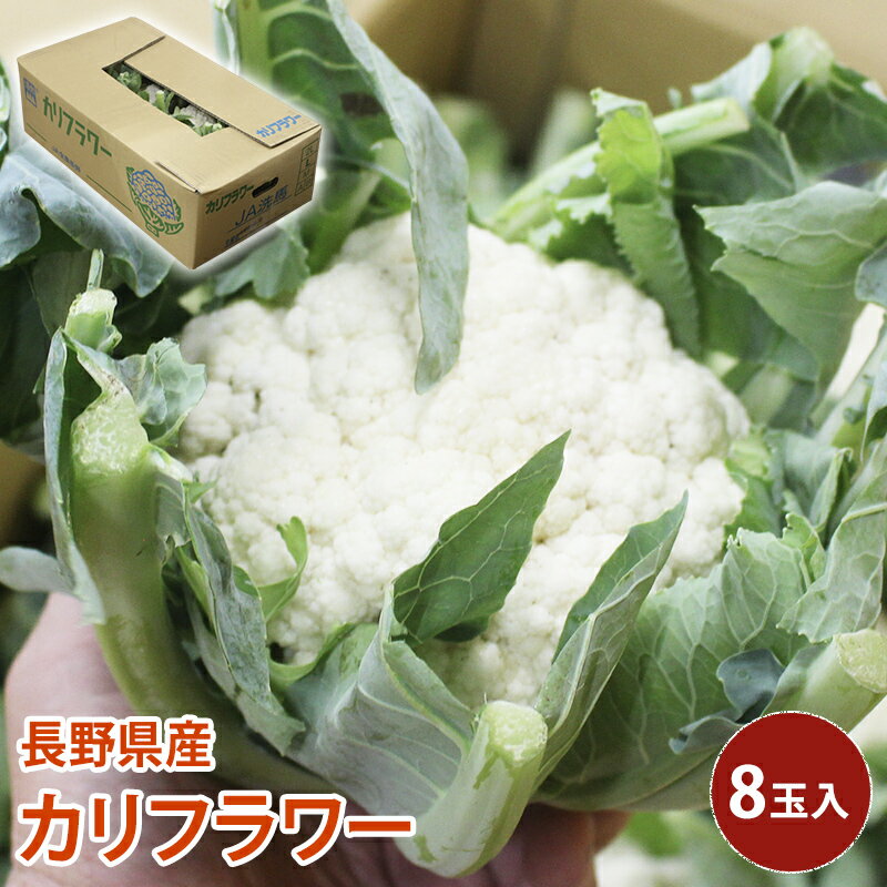 【クール便】 長野県産 カリフラワー 5玉から8玉入 花椰菜 花キャベツ cauliflower 野 ...