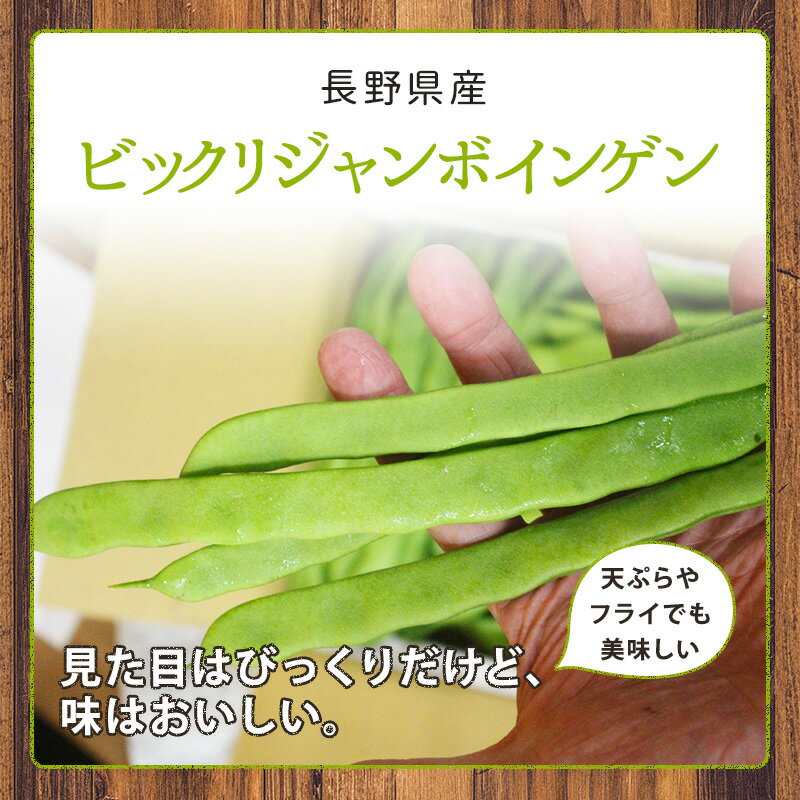 【鹿児島産】ビックリジャンボインゲン 2kg野菜 インゲン インゲン豆 健康 クール...
