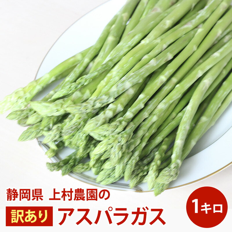 全国お取り寄せグルメ食品ランキング[アスパラガス(31～60位)]第60位