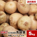 【北海道産】訳あり馬鈴薯 男爵 メーク とうや 5kg じゃがいも メークイン 野菜 ジャガイモ 芋 送料無料