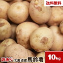 【北海道産】訳あり馬鈴薯 10kg じゃがいも 野菜 ジャガイモ 芋 送料無料