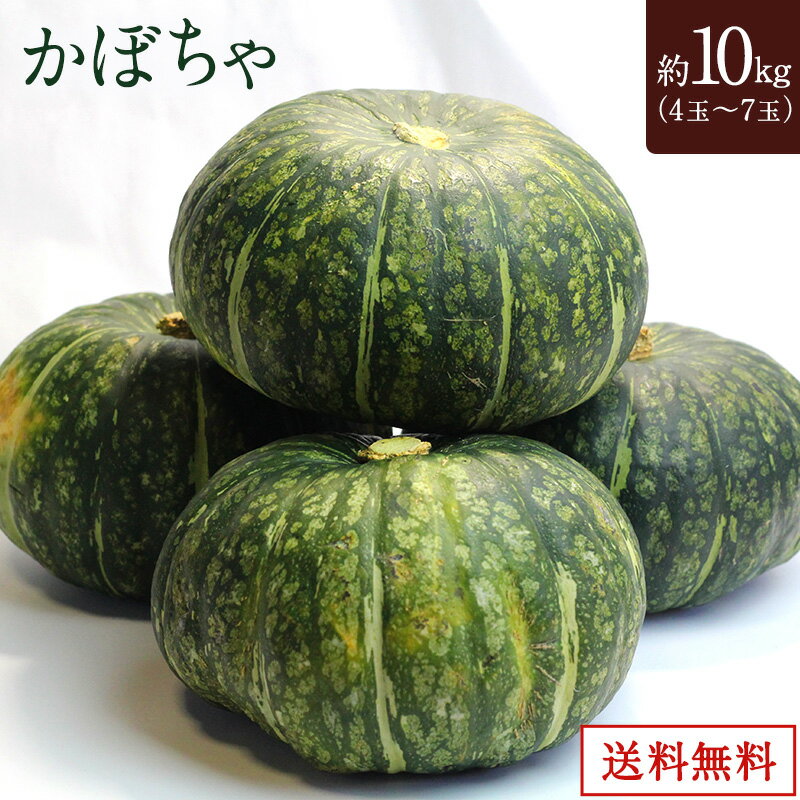 【ニュージーランド産　メキシコ産】 かぼちゃ 10kg 4玉～7玉 野菜 常温　送料無料