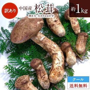 【中国産】 訳あり松茸 約 1Kgまつたけ きのこ キノコ