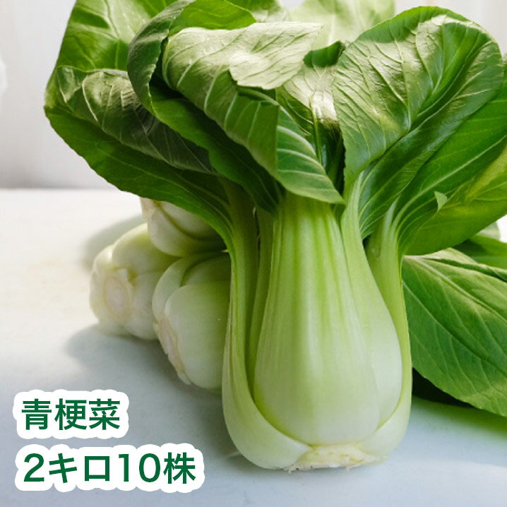 ちんげん菜のお知らせです。 日本に馴染んだ中国野菜。 使い勝手の良さがポイント。 濃い味も薄い味もベストマッチ。 牛乳とオイスターとの相性が良い。 茎のシャキシャキとした食感。 色鮮やかな緑色、味にクセがなく用途が広い。 結球しない白菜の仲間。 ビタミンがたっぷりと含まれています。 今では周年見られるが、本来の旬は秋〜冬。 商品説明 名称 青梗菜 産地名 国産（静岡県産） 内容量 2kg　10株入り（1株200g以上） 保存方法 新聞紙を水で濡らして優しく包み、冷蔵保存。お早めに消費を！ちんげん菜のお知らせです。 日本に馴染んだ中国野菜。 使い勝手の良さがポイント。 濃い味も薄い味もベストマッチ。 牛乳とオイスターとの相性が良い。 茎のシャキシャキとした食感。 色鮮やかな緑色、味にクセがなく用途が広い。 結球しない白菜の仲間。 ビタミンがたっぷりと含まれています。 今では周年見られるが、本来の旬は秋〜冬。 商品説明 名称 青梗菜 産地名 国産（静岡県産） 内容量 2kg　10株入り（1株200g以上） 保存方法 新聞紙を水で濡らして優しく包み、冷蔵保存。お早めに消費を！