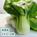 ちんげん菜のお知らせです。 日本に馴染んだ中国野菜。 使い勝手の良さがポイント。 濃い味も薄い味もベストマッチ。 牛乳とオイスターとの相性が良い。 茎のシャキシャキとした食感。 色鮮やかな緑色、味にクセがなく用途が広い。 結球しない白菜の仲...