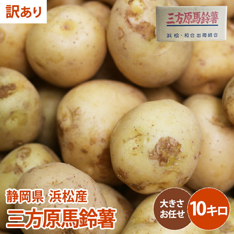 楽天市場】じゃがいも 送料無料 10kg(品種(ジャガイモ)男爵芋 楽天市場】じゃがいも 送料無料 10kg(品種(ジャガイモ)男爵芋