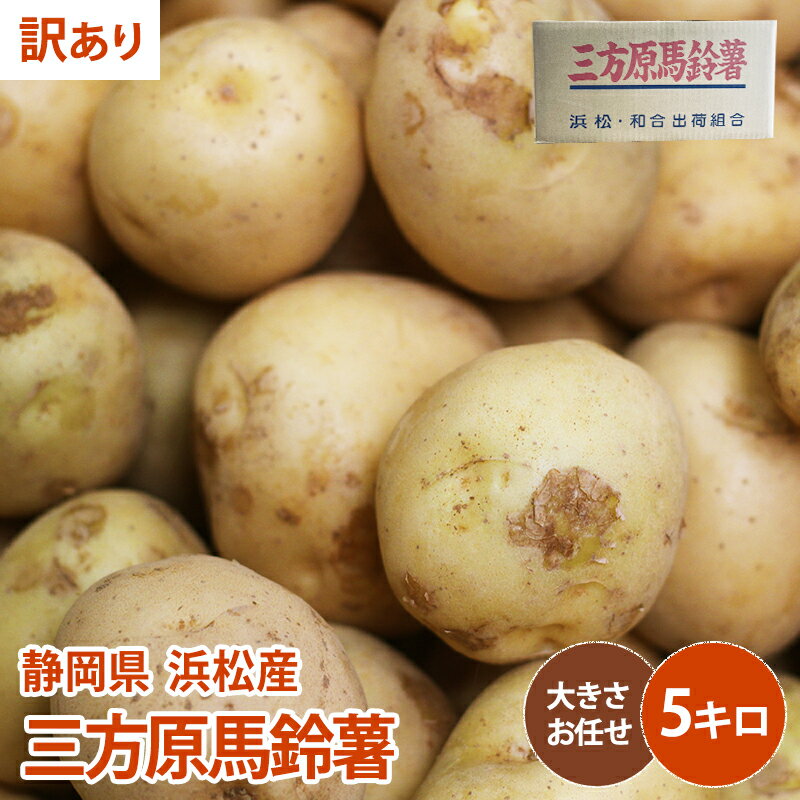 5月下旬より順次発送　男爵　　三方原馬鈴薯 5kg じゃがいも 野菜 ジャガイモ 送料無料