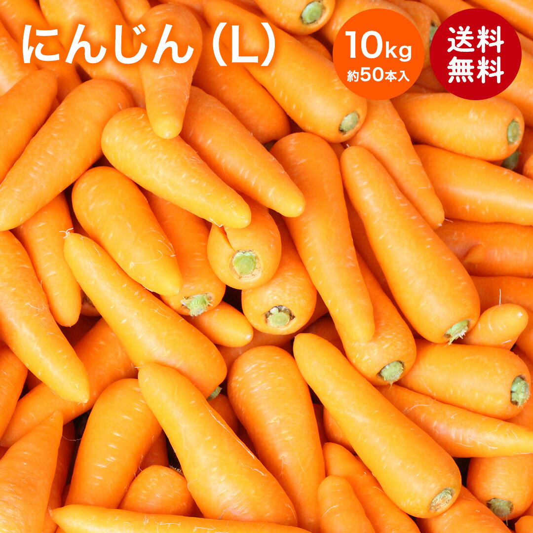 yYziɂ񂶂 10kg LTCY 50{  jW lQ carrot